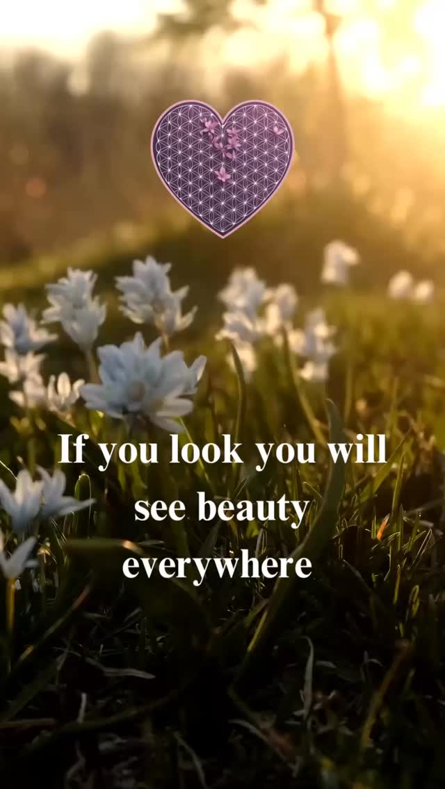 ✨🌸 “Beauty isn’t just in the big moments — it’s in the quiet ones too.
It’s in the morning light, the way flowers turn to greet the sun, and the way your soul softens when you truly see the world around you.
When you choose to look for beauty, you’ll find it… everywhere. 💛
”#beautiful #everywhereyoulook #gratitudeinthelittlethings #SeeTheBeauty #mindfulmoments #naturemagic