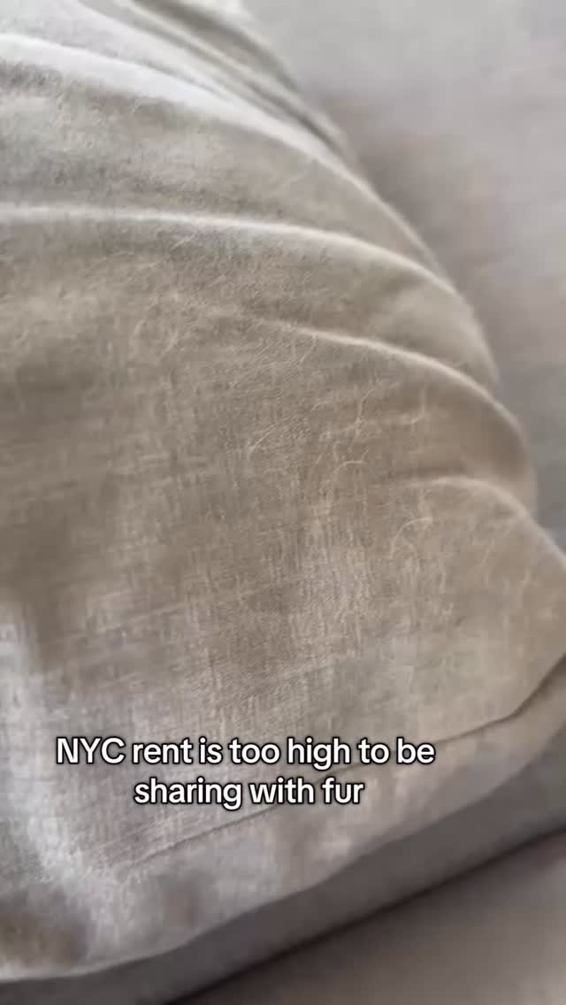 At last... every inch of this couch costs $50 a month 🗽🤣#NYCLiving #PetHairProblems#CleaningSatisfaction #BrightSpaceCleaning