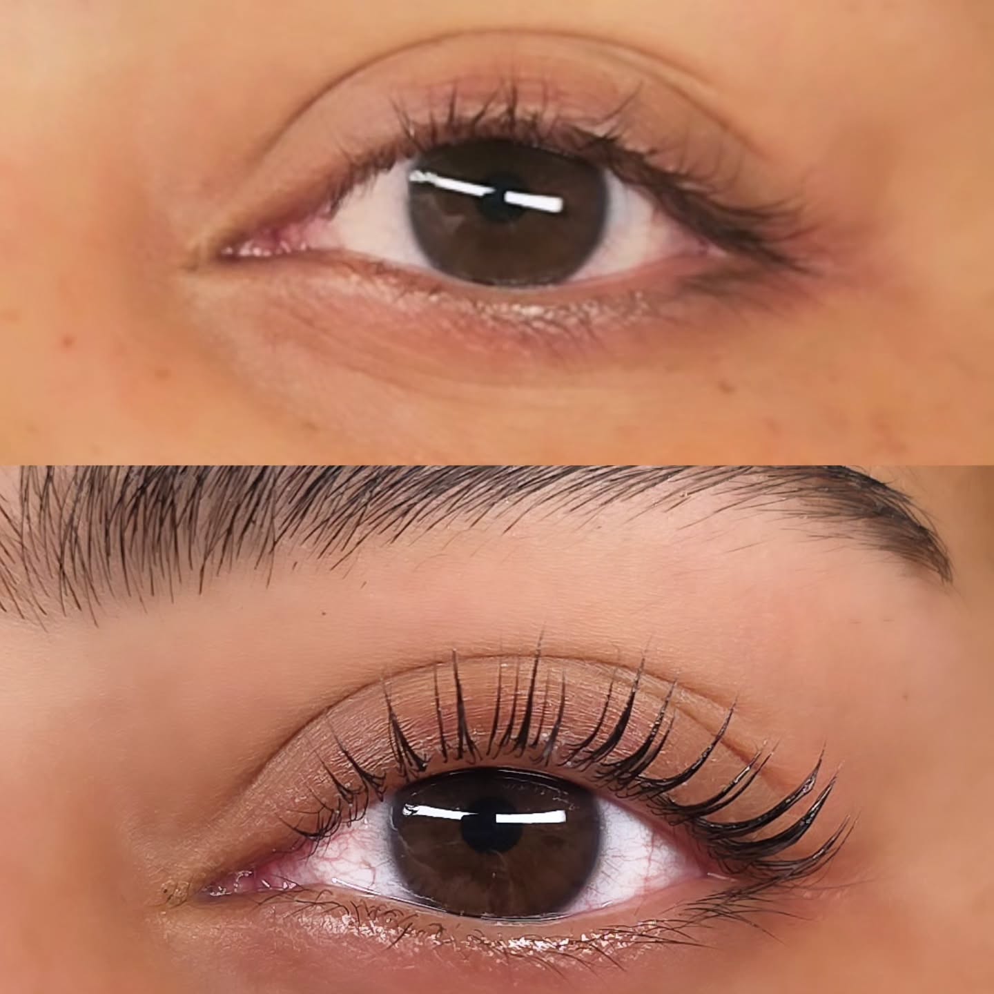 Resultaterne med vores produkter taler for sig selv.
Her er anvendt en U Curl i størrelse M.
Fordelen ved U Curl er, at den ikke buer spidserne – på den måde får man fuld længde ud af vipperne og undgår den uønskede overcurl.
Desuden er det ikke nødvendigt med lim på bagsiden af U Curl, hvilket gør Lash lift processen meget nemmere og også mere behageligt for kunden 🖤