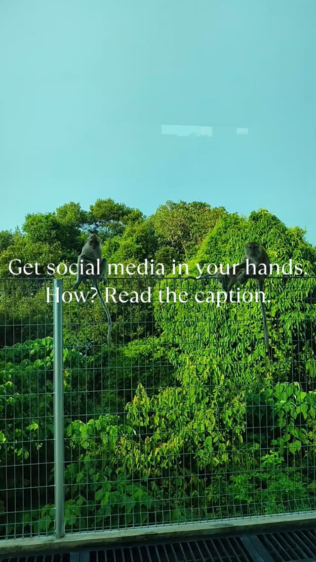 I will show you how to create your unique social media strategy, create content suitable for you and your business that will bring you results, teach you how to run effective ads without wasting money, and build you a system that works for you and your business in the long run!
If you are a small business owner who still don't want or can't outsource your social media, but you find marketing your business overwhelming just send me a message, or continue reading 😌
Social media marketing is confusing with all these rules and tools and it's hard to find your target audience. Hey, it's hard to define who your target audience is at all, right?!
That is why I created 16 Weeks to Social Media Wonderland program! So that you don't have to figure it out all by yourself 🤗
Over 4 months, I will be your fairy godmother who will guide you through your social media transformation 👸🏼
We will turn your business social media from 🐸 to 🤴🏼
How does this program look? We have weekly 1:1 coaching sessions in which we go step by step through EVERYTHING you need to know (I don't overwhelm you with stuff that is unnecessary for you and your business). I create e-books based on our sessions, fully customized for you and your business, with all the theory you need.
You get a content calendar with topics that save hours. And you have 24/7 support 🧚🏼♀️ (magical one).
THIS PROGRAM IS FULLY CUSTOMIZED FOR YOUR BUSINESS! 🌸
And no, it doesn't cost a kidney, it costs only $100/week.
Ready to reach Social Media Wonderland? Send me a DM 🧚🏼♀️🩷
#socialmediamarketingtricity #socialmediamarketing #smallbusinessesofinstagram #socialmediamarketing #socialmediacoaching #socialmediaconsultant #socialmediafairy #socialmediamarketingprogram #learnsocialmediamarketing #socialmediacontent #socialmediaforsmallbusinesses #socialmediamarketinghelp #marketingprogram #socialmediamarketingforbeginners #socialmediamarketingforbusiness #socialmediamarketingperth #socialmediamarketingsydney #socialmediaboutiquestudio