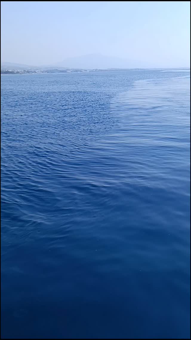 Una imagen que explica mucho, corrientes!
Podemos observar la unión de dos corrientes marinas con notables diferencias pasando por nuestra Bodega
* Cinética, con diferentes direcciones y diferente fuerza, un meceo constante y arbitrario
* Temperaturas diferentes que no se mezclan, simplemente discurren colindantes, sin variación térmica progresiva, sino súbita al pasar de una a otra corriente, y ambas en una media térmica que provoca una temperatura fría y estable durante todo el año.
* Densidad, cada una de dichas corrientes lleva una densidad salina ligeramente diferente
* Luminosidad, los nutrientes que arrastra cada corriente también varían y por consiguiente la transparencia del agua y luminosidad que llega al fondo
La fuerza y arbitrariedad de la naturaleza, en éste caso de la naturaleza marina, afecta directamente la evolución de nuestros vinos guardados en su medio
#vinosubmarino #bodegasubmarima #corrientesmarinas