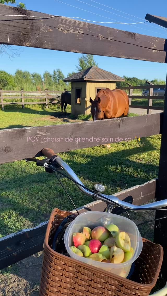 Choisir de prendre soin de soi 🐴✨
Se reconnecter, respirer, se ressourcer, comme en massothérapie 💆♀️💛
RDV: https://www.massotherapielamaison.com