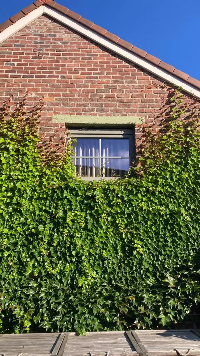 Maandag …. Klusdag 🧹🧽🪣