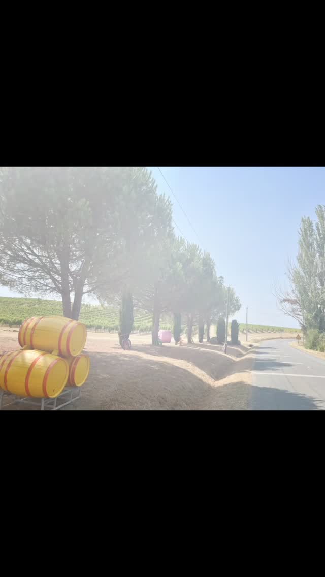 Pool renovation in the heart of the vineyards #bergerac #haywardpoolproducts #lightgreyliner #rénovationpiscineenfrance #pooldesign #linerrenewal#swimmingpoolsdordogne #dreampool #swimmingpool