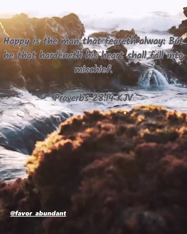 I caught myself in a moment where I could feel my heart hardening. I knew it was about to happen, apologized to God and still allowed the feeling to control my actions. I condemned myself after and shifted the atmosphere until I was reminded that I repented and God forgave me, it was time to move forward. We all sin and fall short of grace, but will you stay down?
Don’t let that hardened heart grow, nothing good can come from it. Move forward.
~peace and blessings~
#grace #grateful #moveforward