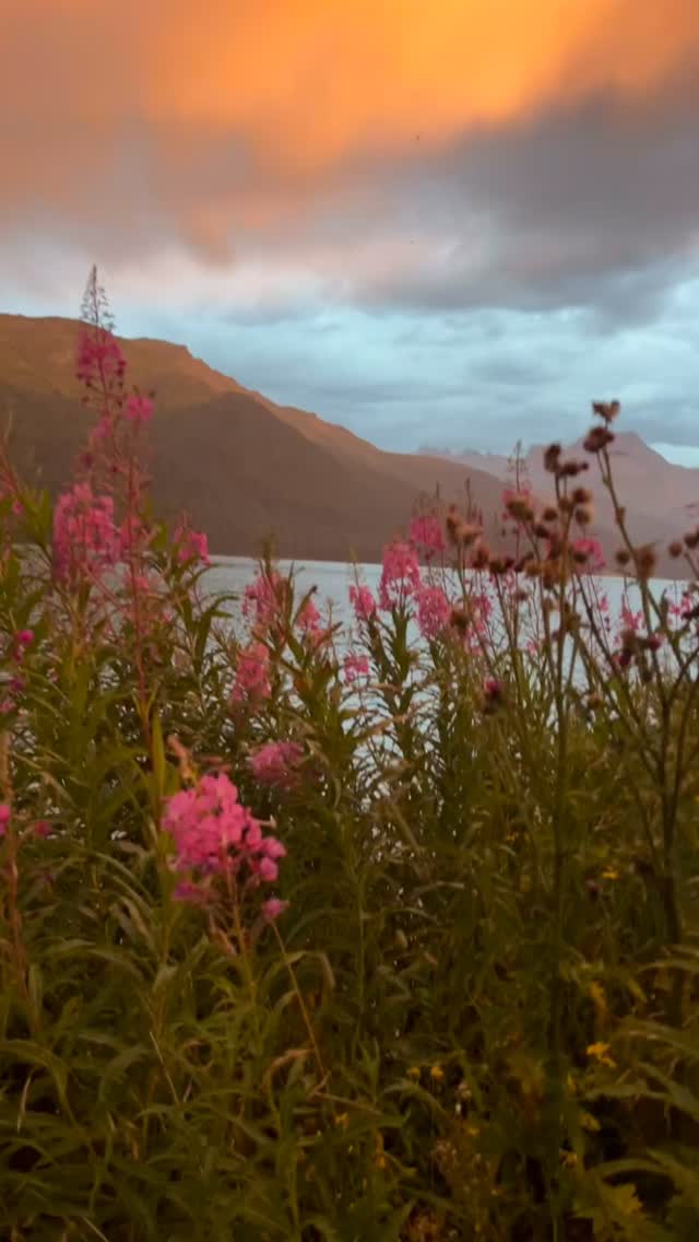 Batterdögl - Auszeit - Rauszeit
#Oberengadin #engadinaota #silvaplanasee #maloja #laghdacavloc #pontresina #lagobianco #st.moritz #lejdastaz #julierpass🇨🇭 #lejtscheppa
#topoftheworld #batterdögl #enjoy #livigthemoment #mentalhealth #achtsam #friendship