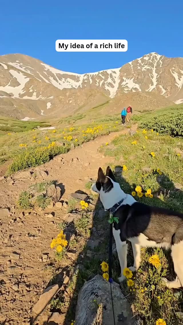 Rich isn’t always about money. It’s about moments 💛
My idea of “rich” isn’t fancy cars or designer bags… It's spending time with loved ones or making new friends, while bonding over a shared experience. Those memories and experiences are what will stick with you. They'll be the stories you tell future generations.
So.
Give me good food, beautiful places, and the people I love to share them with! I'll take that over a materialistic life any day.
✋️Who’s with me?
👉 If you would like some help planning your next trip, DM us or visit the website in our bio to get started!
#TravelMore #RoamReady #adventuretime #adventure #memories #experiences #travel #travelconsultant #smallbusiness #smallbuisnessjourney #womanowned