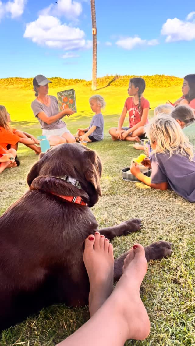 Happy Birthday to one of our favorite Dogs.
Koda is 2 today.
Dogs in a class with kids has many benefits and boy oh boy Koda meets all these on this list.
*Lowers stress and anxiety
*Encourages empathy and kindness
*Improves social skills and teamwork
*Boosts motivation and engagement in learning
*Teaches responsibility and care
*Supports emotional intelligence
*Promotes physical activity
*Creates a safe, welcoming classroom atmosphere
One thing he has taught us is that big dogs don’t belong in small spaces; and that dogs love to feel loved and involved in everything. It’s a great thing we are active and outdoors 100% of the time. 😍😍💪💪🎉😘🎂🥳
#dogsbelonginclass #ponooutdoorprogram #handsonlearning #lovethem #inclusion #workingdogsrock