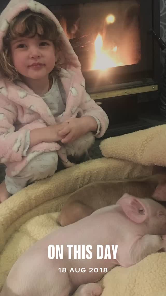 On this day 7 years ago. 🥰 what a glorious day that was #livingthedream 🐖 🌴