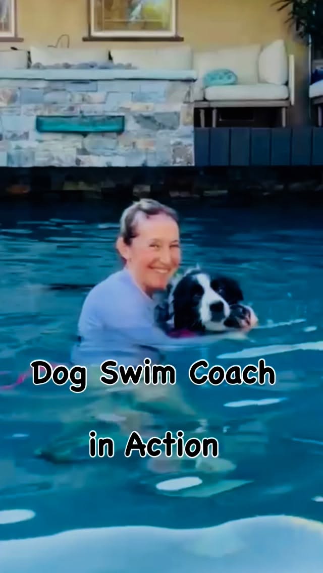 Ready to make a splash with your pup? We rented a private pool through @swimply and gave the pups a chance to dive back into their swimming skills! đž Nothing beats seeing dogs build confidence and enjoy the water safely.
If youâve got a poolâor want to rent oneâI can help your dog learn to swim, improve their confidence, and make the experience fun and stress-free. With years of dog training experience, safety is always my top priority!
đŚReady to make a splash with your pup? DM me to set up a swim session! #dogtraining #dogswimminglessons #dogswimming