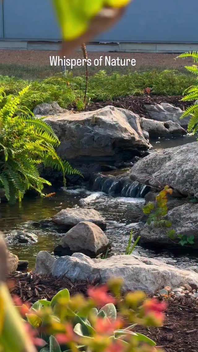 Listen closely—the water carries the timeless whispers of the earth.