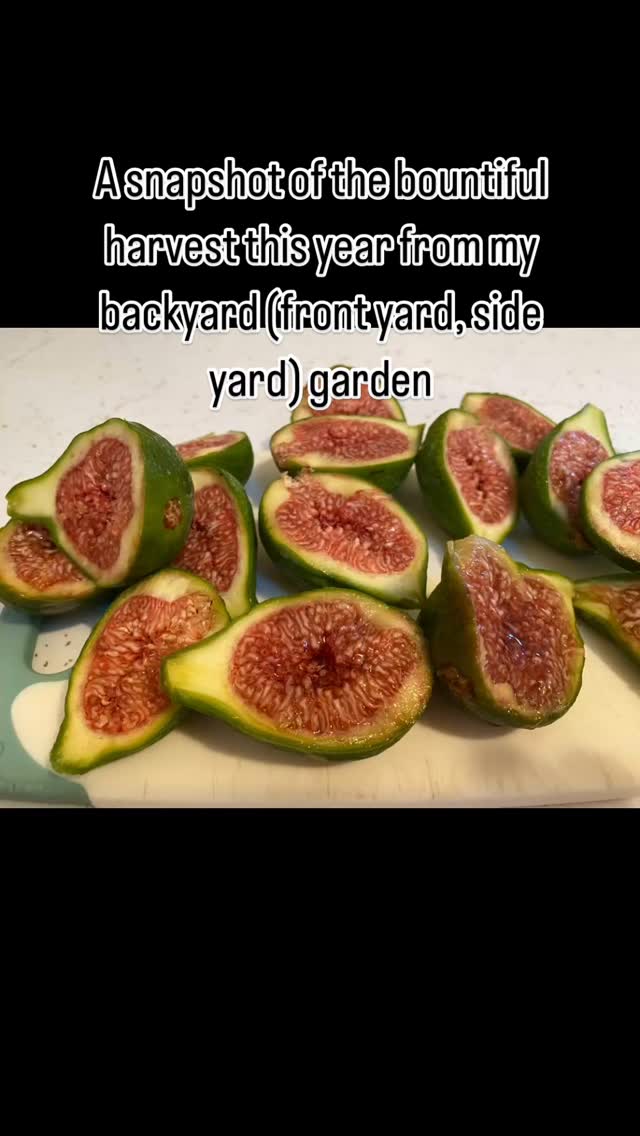 This is what I get up to in the spring, summer, fall, if anyone is curious!
#homegrown #foodasmedicine #backyardbounty #healthandwellness