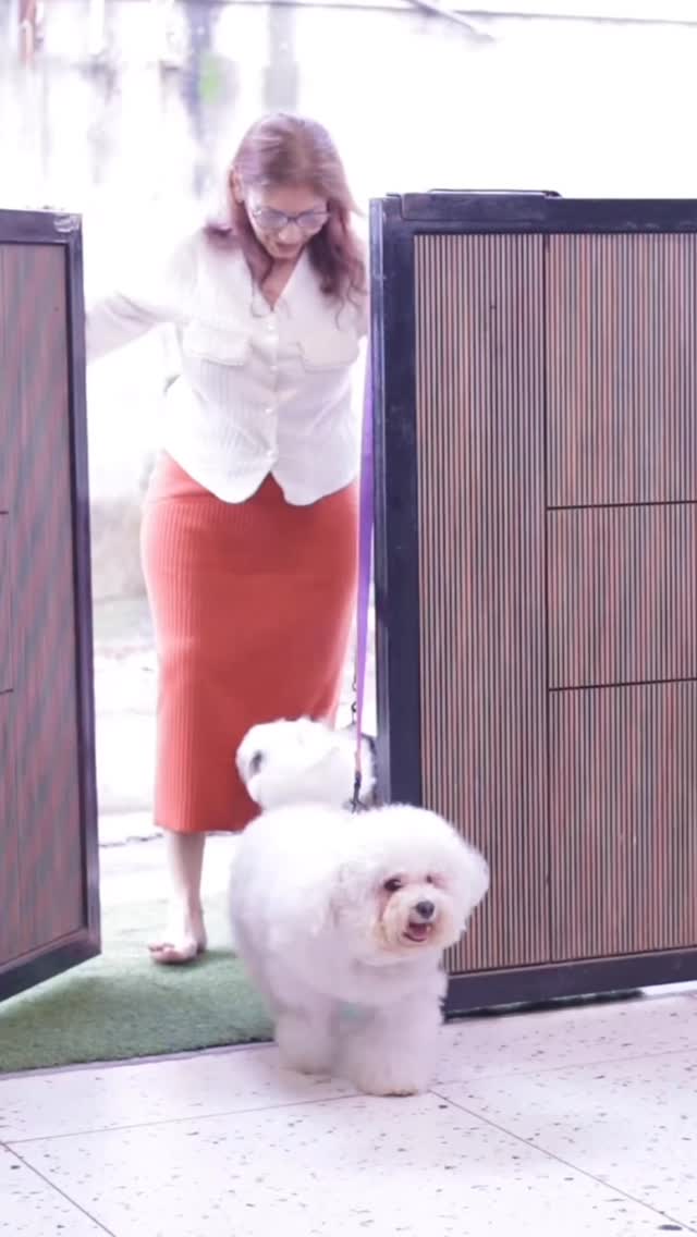 Your favourite brand Pawgy pets now has store in Versova - Mumbai
📍Furends pet studio
Shop no 33, aram nagar part 1, behind shelter cafe, versova - 60
#mumbaipetslovers #petstudio #trendingreels #mumbaipets #dogoutfit #outfitfordogs #ganeshutsav #outfittoday #trendingaudio #trending #chaturthispecial❤️ #dog #pawgypets
(Outfittfordogs,traditionalwear,trending,trendingaudio,dogs,viral)