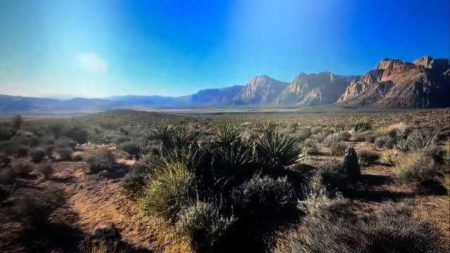 @aktrailrunner got some excellent video last year of the race! Check it out! YouTube.com/watch?v=10nD6awq2Zc