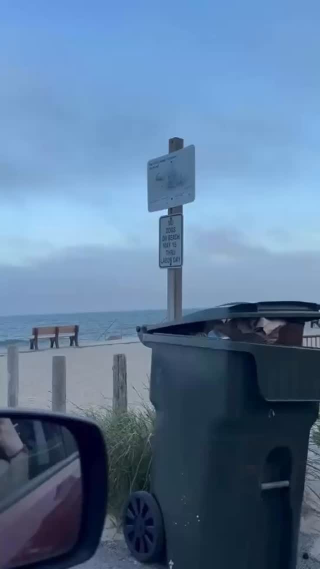 ✨ Just a little glimpse of how dreamy days feel here at the cabins. Soft light, salty air, and slow moments that stay with you long after you leave. 🌿🌊
#YarmouthCountryCabins #DreamyDays #CapeCod #CabinLife #CoastalLiving