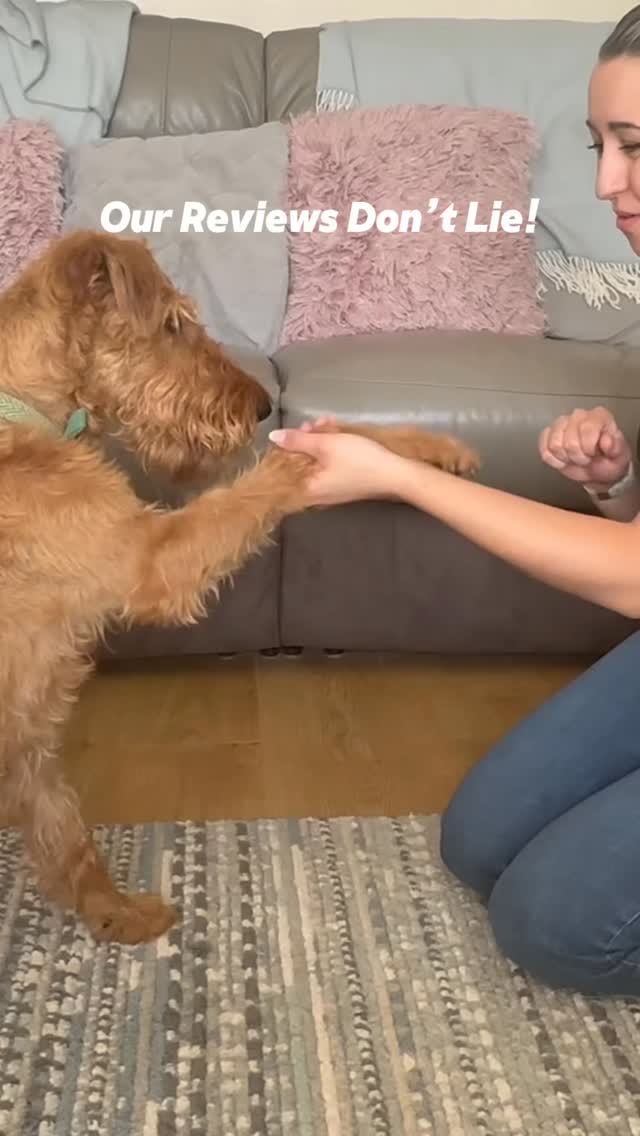 Don’t just take it from us! ✨
We are proud to have great reviews from our lovely clients. What our clients love is:
🐾 Our empathetic approach to your pet - Every pet matters to us and deserves excellent care and understanding
🐾 Keeping it calm! - Allowing even the most energetic pets to relax and enjoy their treatment
🐾 Our knowledge - Our extensive training and experience allows us to help you and your pet navigate a healthy and happy lifestyle to suit everyone’s needs
🐾 Pets feel better! - With our tailored approach and care, your pet can enjoy the benefits of pain relief and increased mobility from as early as their first session!
There is a reason why we are trusted by vets, canine professionals and owners alike. And we would love to continue to help all your lovely pets spend more years doing what they love!
Want to know more? Pop us a message or give us a call! 📞
WWW.FURAPY.UK