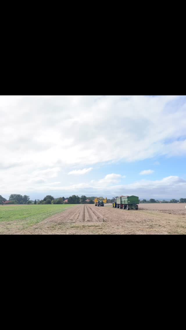 Dann wollen wir mal wieder die Halle voll machen! #Kartoffelernte #ernte2025