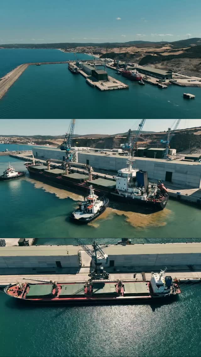 ELONG ELONG ⚓️