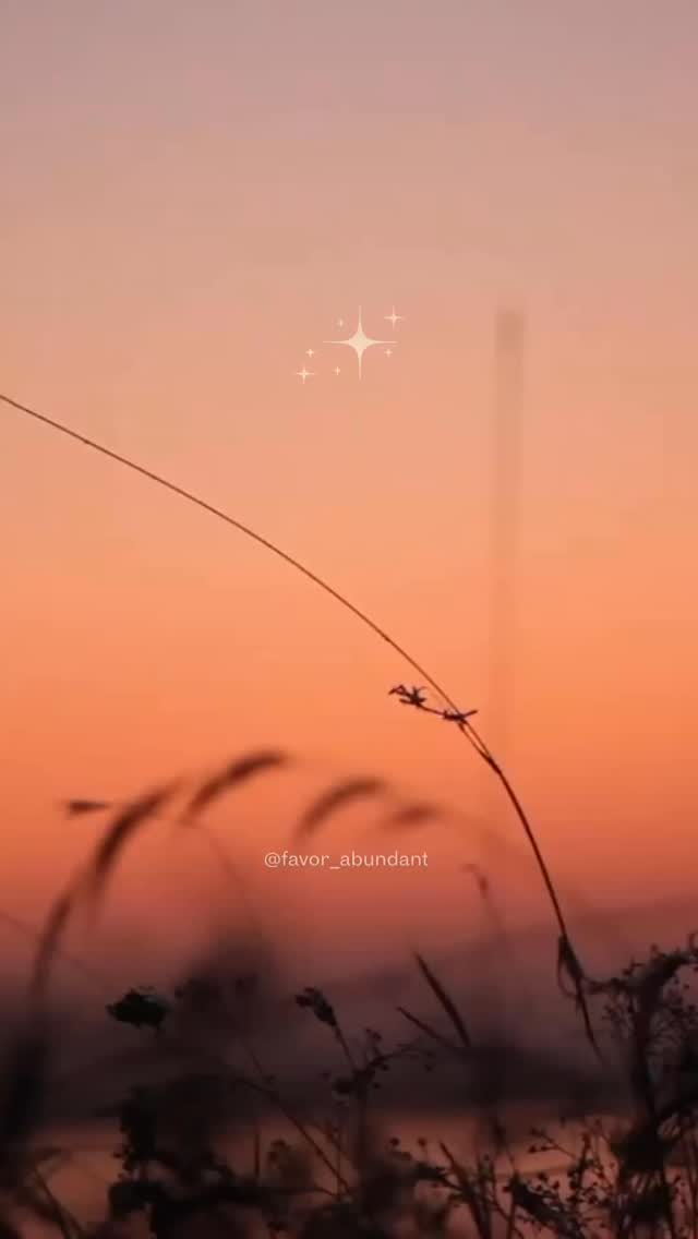 I don’t know who this needs to reach but God put it in my spirit to share..stop fighting battles that aren’t yours.
~peace and blessing~
#notmyfight #surrender #usemegodforyourglory