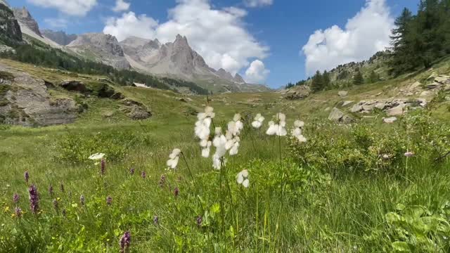 Binnen enkele dagen start er opnieuw een Passagetocht… En ik voel de nieuwsgierigheid al borrelen. Wat zal er deze keer in beweging komen bij de deelnemers? Wat gaat er stromen, loskomen, landen — in gang gezet door het groepsproces en gedragen door de bedding van onze prachtige vallei? 🌿
De rust, de kracht van de vier elementen, de vergezichten die je letterlijk en figuurlijk ruimte geven… Het blijft bijzonder wat er steeds mag ontstaan. 🌷
Ik kijk er naar uit om samen met @kareny.borremans dit proces een veilige bedding te schenken. 🙏
🔊 Er is nog maar één plekje vrij op de laatste tocht van 2025. Deze zal doorgaan van 18 t.e.m. 25 oktober. Voel je dat de bergen je toezingen? Wacht dan niet te lang.
📩 Neem contact op als je voelt dat dit jouw moment is.
🎥💚 Met dank aan Krista voor de prachtige video die de sfeer zo mooi vangt.
Veel liefs,
Karlien 🌻
#tocht #transformatie #natuurkracht #vierlementen #innerlijkereis #verbinding #persoonlijkegroei #passagetochten #outdoortherapy