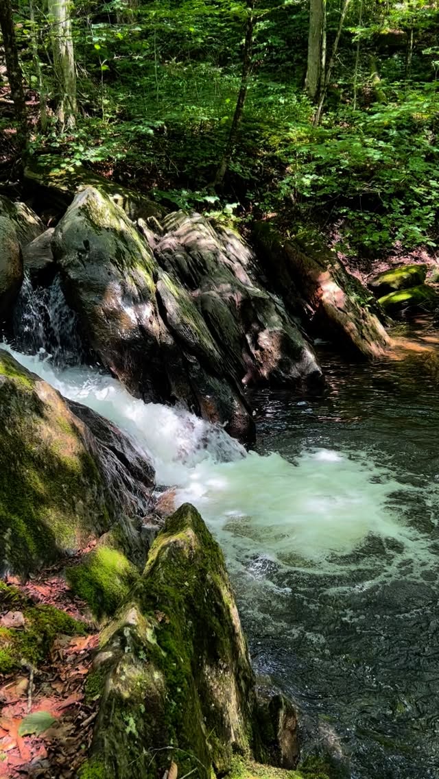 Finding some green mountain magic on a local lap of the Vermont Backroad Bike Tour!
#backroadbiketour #bikevermont #bikeseason #backroads #vermontbackroads #backroadsofnewengland
#lamoillevalleyrailtrail
#explorevermont #visitvermont #vermontsummer #thisisvt