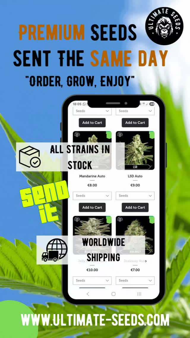 Sent the same day, all strains in stock and cool stored!😍😎💥💯