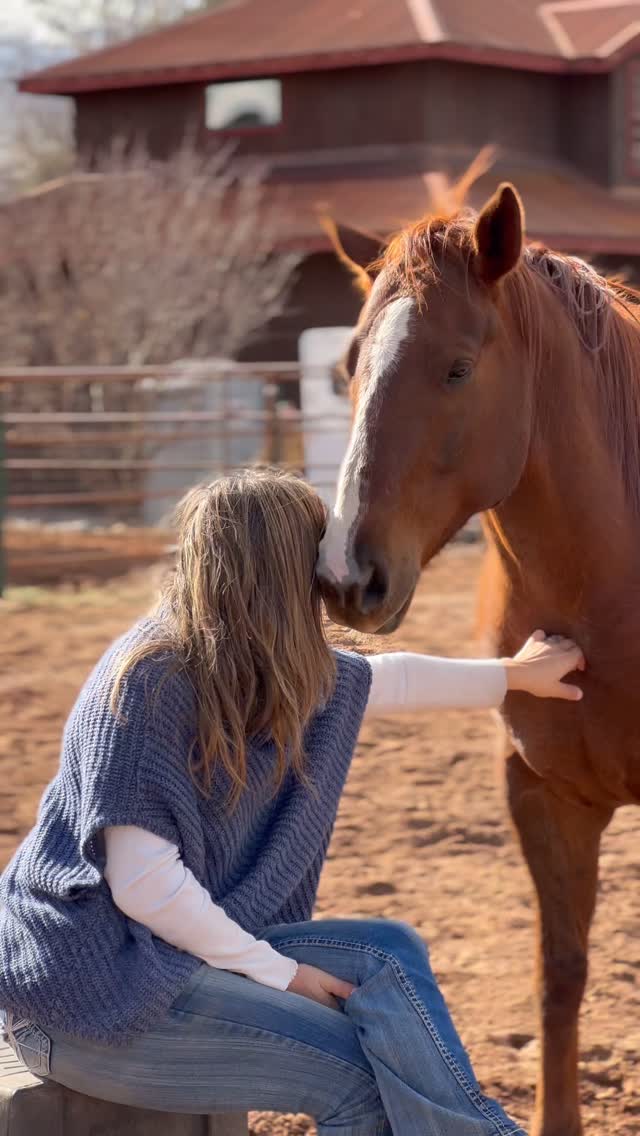 Who rescued who? 🐴❤️
In Rescued Hearts film, Michelle Peterson of @medicinehorsehealing asks the question so many of us have felt: Do we rescue horses…or do they rescue us?
Maybe we simply help them out of a bad situation, and in return, they invite us into their world — a place where presence, trust, and healing naturally happen.
Thank you for sharing your heart and wisdom with us, Michelle.
And thanks to Tracey Campbell with @tlcsanctuary_az for allowing us to film at your sacred sanctuary!
✨ Learn more at rescuedheartsfilm.com and check out our events page to see where the film is playing next!
#rescuedheartsfilm #healingwithhorses #horsehumanconnection #rescuedhorses #rescuedhearts #heartconnection #horselovers #equinewisdom #horsesanctuary #medicinehorsehealing