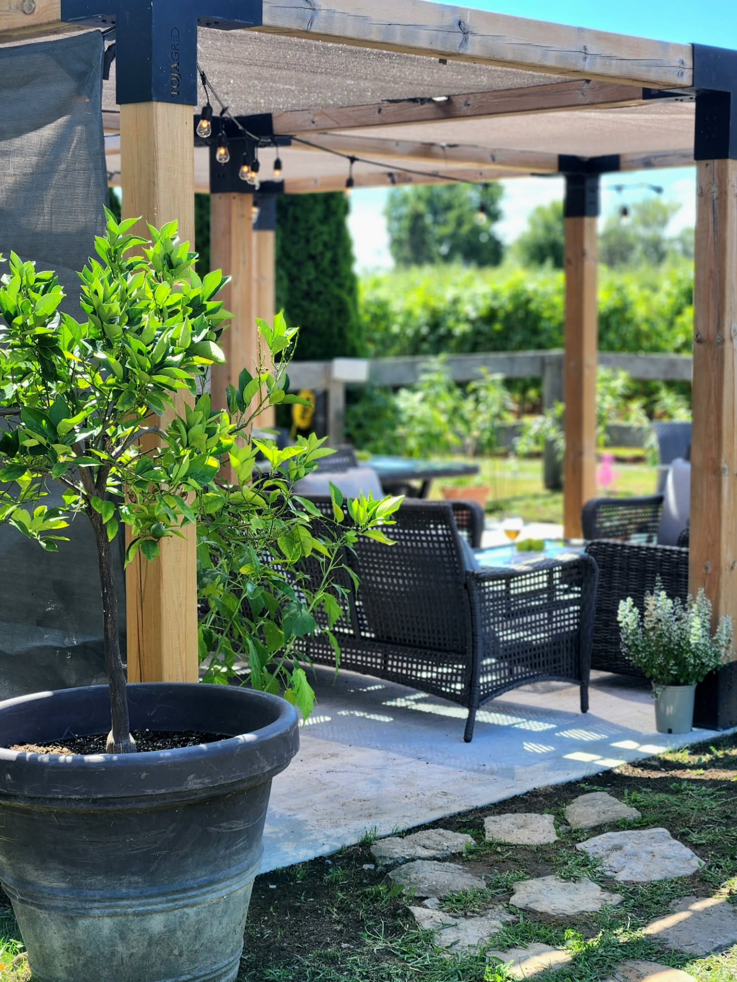 Welcome to the speakeasy at Waupoos Winery!
Our speakeasy is open Thursday–Sunday, 12–5pm, featuring a special menu crafted by our chef and cozy vibes.
Perfect for a quiet escape or your next private event.
@kevinmckenna