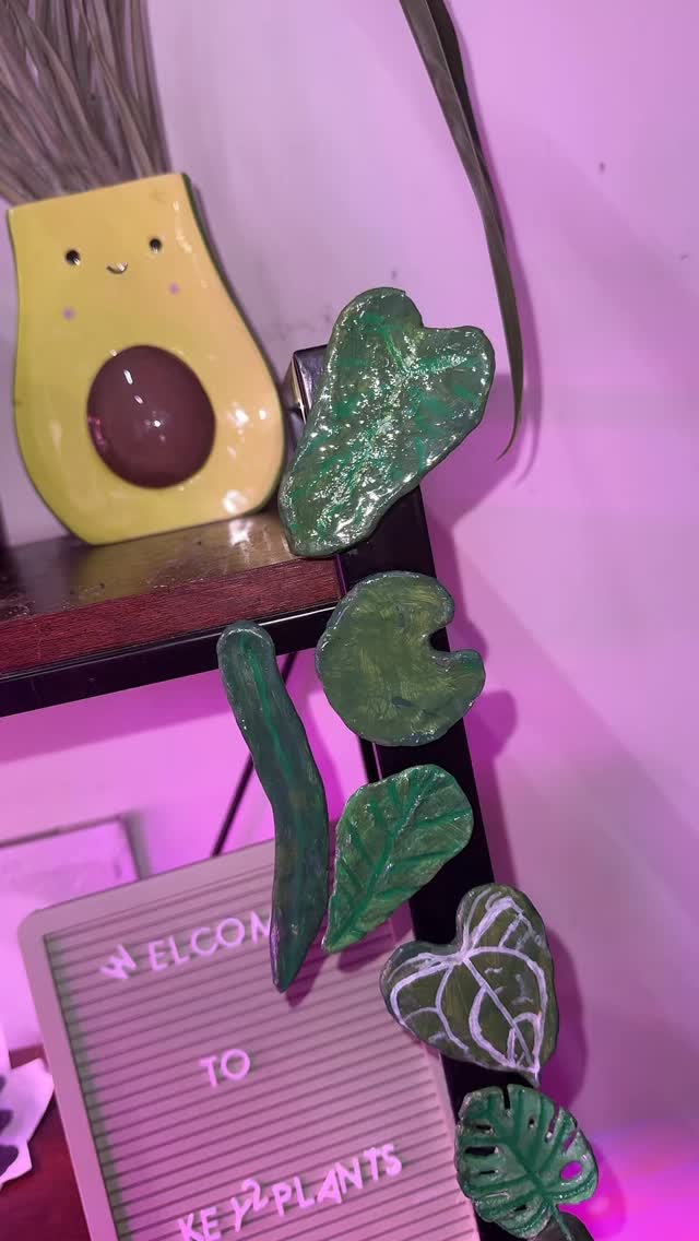 plants magnets #plantlover