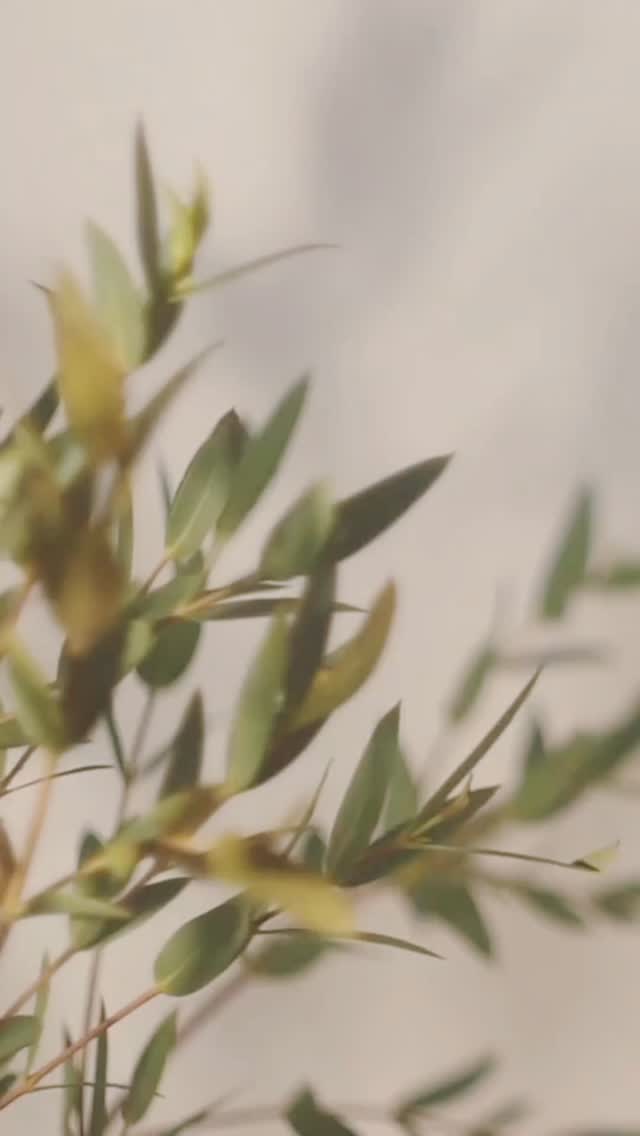 Crafted in solid teak wood with natural fluting details, this single seater pairs sturdy structure with plush dual-tone upholstery for timeless comfort. 🍃
Polish and upholstery can be customised!
Order yours today! 🌟
#customized #design #furnituredesign #bespoke #nirmati #madewithlove #explore #woodwork #sofa #woodensofa #moderndesign #livingroom #delhi #noida #armchair #luxury #woodenfurniture