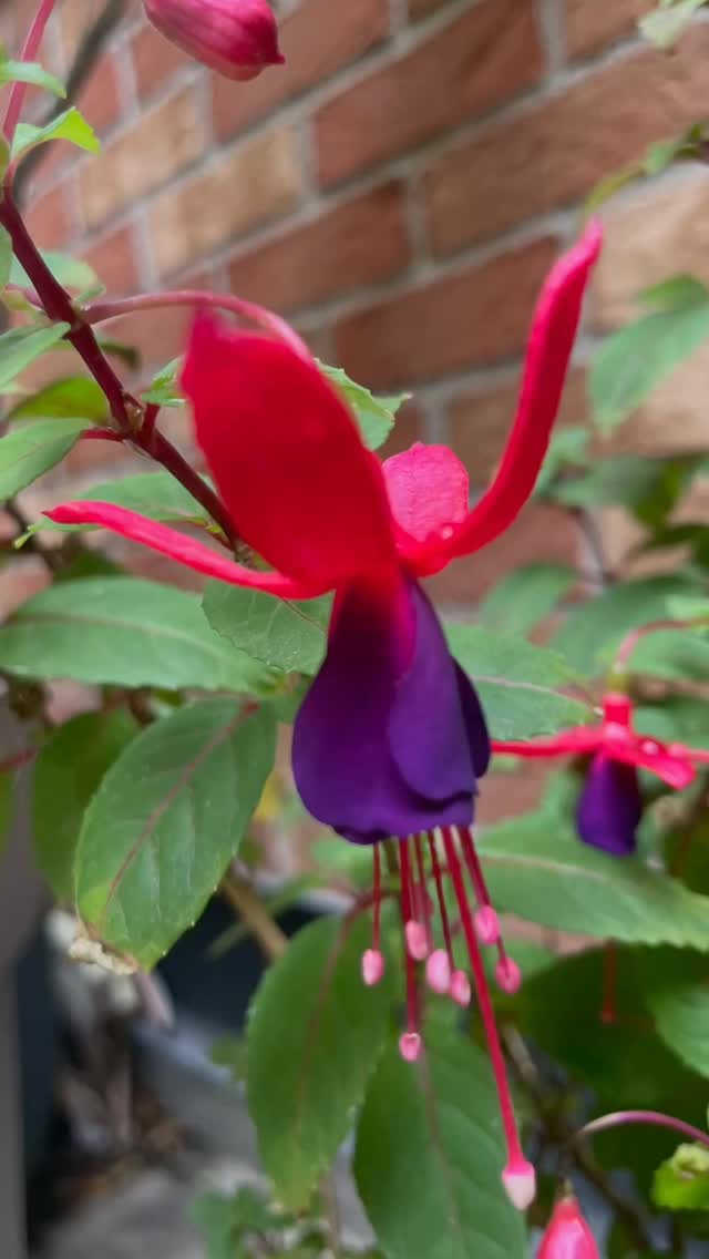 Retour à l’atelier😃
#atelier#creativity #studioartist #rentée #maryamshams_artiste #parís #parisatelierfrance