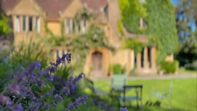 Wishing everyone a lovely sunny bank holiday weekend 🌞
We’re now taking bookings for spring/summer 2026 but still have availability for this autumn and would love to welcome anyone planning a celebratory getaway at which time we could offer a price reduction. Please send enquires to peter@symondsbury.com🥂
#symondsburymanor #symondsbury #dorset #bridportholidays #bridportlife #bridportdorset #jurrasiccoast #dorsetcoast #countryholidays #countryholidaysuk #englishmanorhouse #englishmanors #englishmanor #englishmanorhousestyle #selfcateringaccommodation #selfcateringholidays #selfcateringholidaysuk #selfcateringholidaysdorset #dorsetholidays #uniqueholidayrentals #holidayrentalsuk