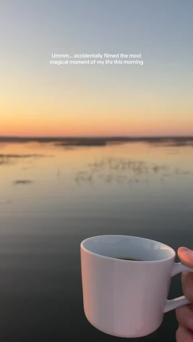 Enjoying my morning coffee when a dolphin came by to say hello! #viral #waterfrontstay #travel