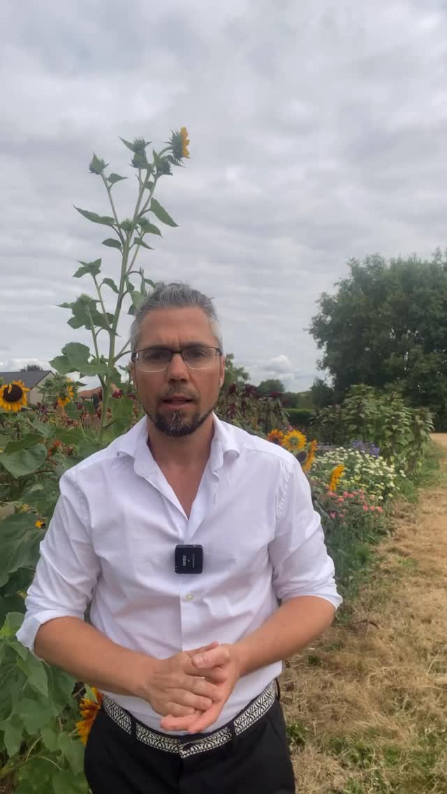 Wordt je buitenproportioneel getriggerd? Mooie cadeau !😅. Er achterkomen welke gevoelens en behoeften er onder zitten ? Download de gratis pdf van gevoelens en behoefte en begin je helingsproces 🙏