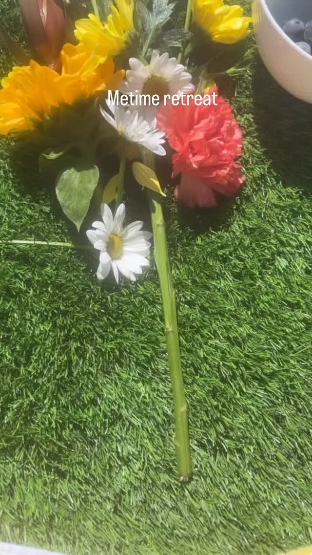 ME TIME RETREAT
A TRANSFORMATIONAL WEEKEND ESCAPE
EVERY WEEKEND IN August to December
+ LONGER STAYS AVAILABLE
Just outside Lake Tahoe, surrounded by nature’s magic
• Sunrise & Sunset Views
• Breathwork Sessions
• Guided River Hlkes
• Gourmet Meals
• Sound Bath Under Stars
• Cacao Ceremony by the Fire
Mud & Ice Bath Therapy a Sauna, Hot Tub
• Hapé Plant Medicine (Optional)
• Deep Relaxation • Medicine Music & Connection, Stillness & Journaling Time
#MeTimeRetreat
#TransformWithAna
#LakeTahoeRetreat
#HealingRetreat
#SoundHealing
#BreathworkJourney
#CacaoCeremony
#IceBathTherapy
#MindBodySoul
#SoulHealingJourney
#ConsciousLiving
#weekendreset
#NatureHealing
#JoinTheRetreat