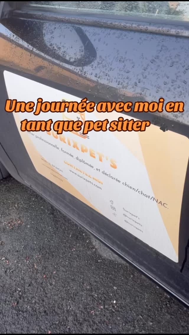 Je vous emmène dans une journée avec moi en tant que pet sitter (spéciale chat 🐱)
__________
Www.surixpets.com
#petsitter #chat #chien #nantes #44