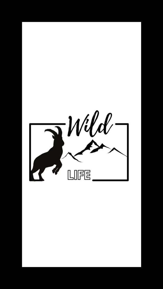 Das Wild Life Design wächst und du bist schon dabei? www.wildlife-design.ch #wildlifedesign #outdoor #wildlife #hunting #wild #jagd #bündner #bündnerland #swissdesigner #schweizerjäger #shopping #shopp
