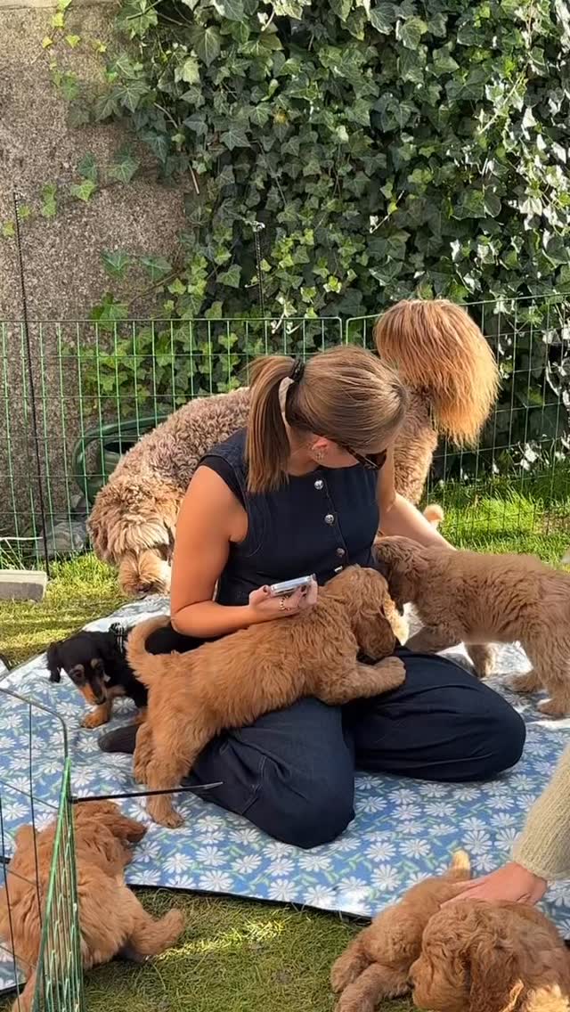 @miecappelen brought her puppies too and made the cutest lil video🥹