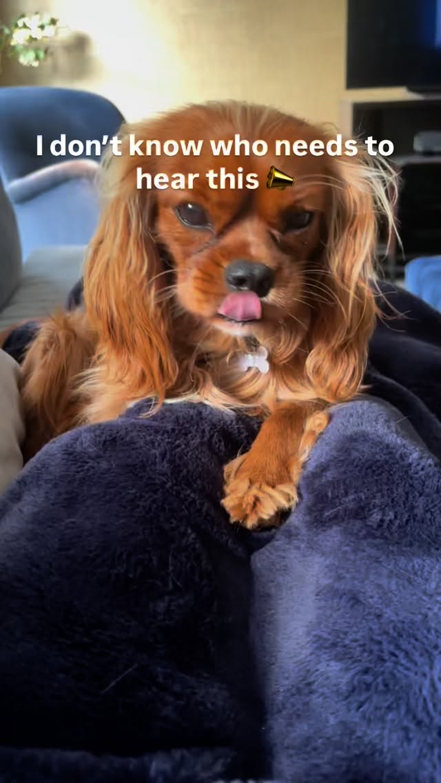 🧠 Did you know our brain is around 60% fat? healthy fats aren’t just fuel, they’re essential building blocks for brain structure, mood, memory, and focus. Omega-3 fatty acids particularly are very important for brain function and mood amongst many other things.
Think omega-3s, not low-fat! 🐟🥑🫒
💛 Great sources of healthy fats:
• Oily fish (salmon, mackerel, sardines)
• Avocados
• Extra virgin olive oil
• Nuts & seeds (especially walnuts, flax, chia)
• Organic eggs
• Organic butter
• Organic full-fat yoghurt
• Coconut oil
Give your brain what it needs to thrive. 💪🏼 🧠
Fats also aid satiety. Combining fats with carbs or sweet treats reduces their blood sugar effect, helping blood sugar balance and keeping us full for longer.
#brainhealth #healthyfats #omega3 #goodfats #mentalwellbeing #nutritionaltherapy #lifestylemedicine #foodismedicine #mentalhealth #mood