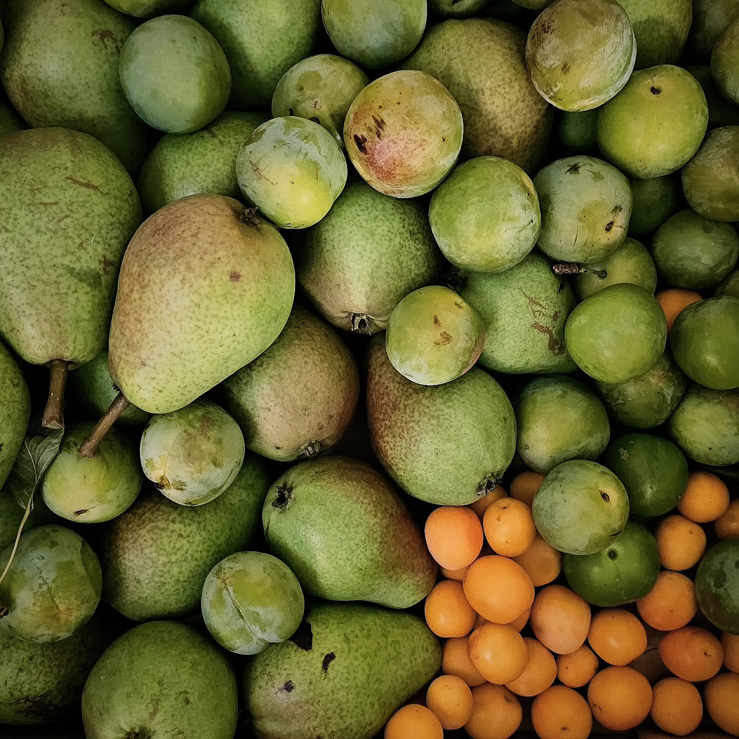 Erntezeit im Haus im Felde 🤩
#hausimfelde
#Fehmarn
#ferienwohnungen
#ferienappartements
#sonneninselfehmarn
#ostseeliebe
#wingfoil
#windsurfing
#kitesurfing
#Radfahren
#Reiten
#Erntezeit
