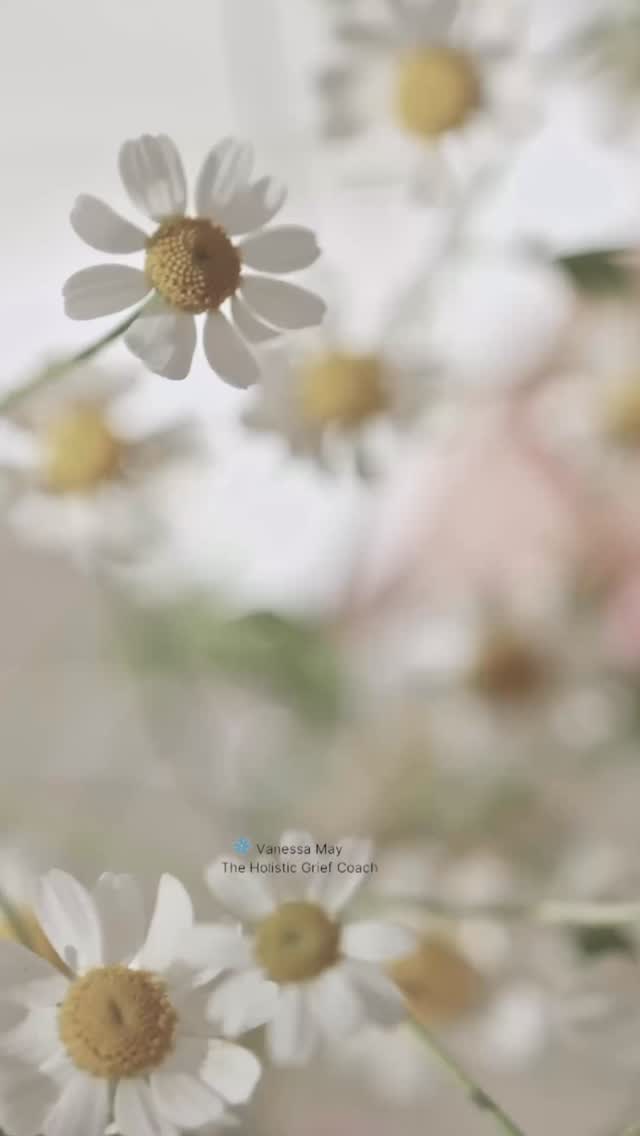 After a traumatic loss, our life changes forever and we are no longer who we once were. It can sometimes feel as if we’ve been transported to a parallel universe and that we no longer fit into the life we once lived. We may kick and scream against the unfairness of the hand life has dealt us but sooner or later we realise that we have no choice but to learn to adapt to this new unasked for life 🤍
If this post resonates, please share, save, like and follow ❤️
•
#lifechangingloss #traumaticloss #therealityofgrief #griefsupport #griefawareness #lossofalovedone #childloss #bereavedparents #griefshare #griefandloss #griefeducator #griefcoach