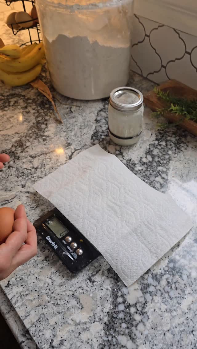 Comparing the weights of our normal eggs to our massive Olive Egger egg.
It's sure to be a double yoke at the size! ๐ณ
#goldenrootacres #farmfresheggs