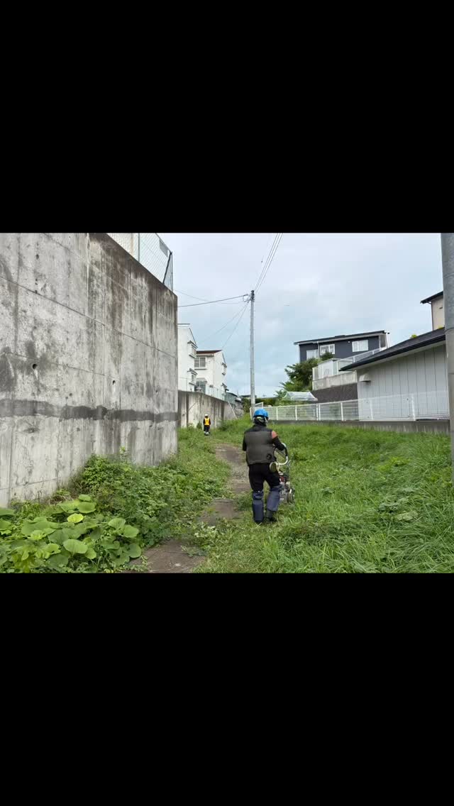 #蓮 #遺品整理弘光 #レインボーハス園 #生前整理 #ハウスクリーニング #生出 #八幡平市 #盛岡市 #コリーヌドゥガブリエル #草刈り#双頭蓮