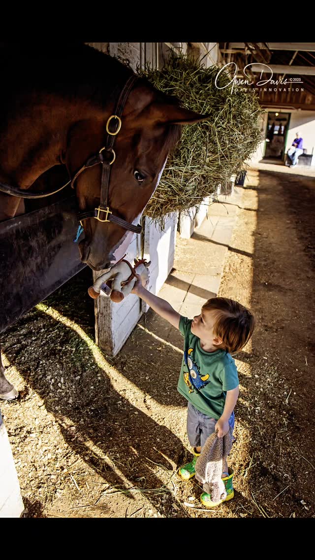 A tender moment between a little visitor and our sweet 2yo filly Mundy Sweep. 💕 (Munnings-Sweeping Paddy)