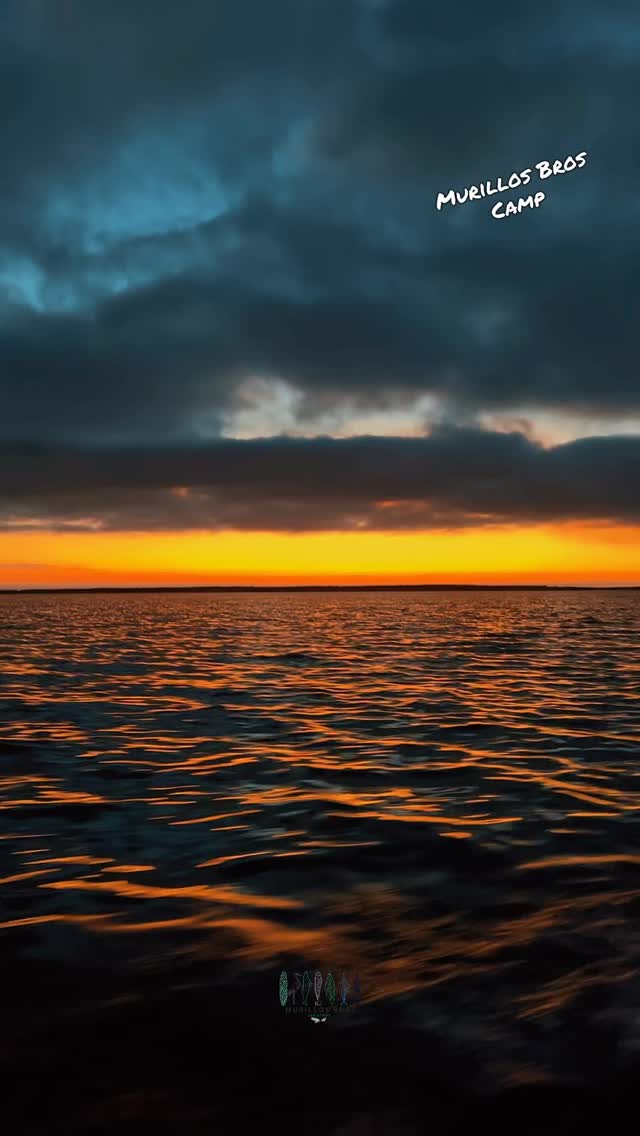 ✨🌌 *“Acampar en Bahía Magdalena es vivir la naturaleza al máximo.
Con Murillos Bros Adventours despertamos frente al mar, entre dunas, manglares y el sonido de las aves. Cada temporada tiene su magia: en invierno llegan las ballenas grises 🐋, en otoño la famosa carrera de la sardina mexicana🐟, y todo el año podemos explorar los manglares, las islas y dunas y ver delfines, lobos, 🦭🐬 marinos y cientos de aves migratorias y costeras además de coyotes almejeros. 🐕🕊️
Nuestro campamento es más que dormir en una tienda: es comer mariscos de temporada, cenar bajo las estrellas y descubrir secretos de la bahía junto a guías locales que han crecido aquí. 🌟🔥
Ven a desconectarte del ruido y a reconectarte con la naturaleza en su estado más puro.
Murillos Bros Adventours: una experiencia auténtica, responsable y hecha en familia.”
#MurillosBrosAdventours #BahíaMagdalena #PuertoSanCarlos #BajaCaliforniaSur
#MagBay #MagdalenaBay #VisitBaja #BajaAdventures #DiscoverBaja
#Ecoturismo #TurismoSustentable #EcoTravel #TravelWithLocals #UniqueExperiences
#WhaleWatching #BallenaGris #GrayWhales #SardineRunMexico #MarineLife
#Dolphins #SeaLions #OceanLovers #WildlifeMexico #Birdwatching
#CampingLife #BeachCamping #AdventureTravel #HiddenParadise #NatureLovers