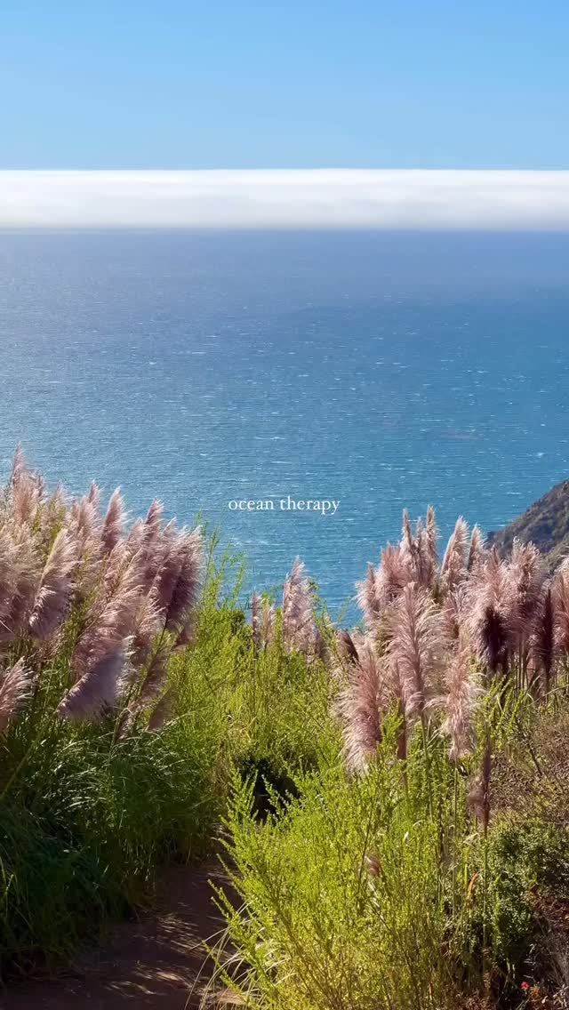 📍 California
California is blessed with some of the most diverse and beautiful landscapes in the world 🌄🌊
Beautiful footage!
Follow @placestovisitincalifornia for the best places to visit, stay, and live in California!
.
.
Hashtags: #placestovisitincalifornia #California #travelcalifornia #Californiatravel #explorecalifornia #californiaadventure #sanfrancisco #visitcalifornia #californiadreamin #californiadreaming #socal #coast #calivibes #californialove #coastal #californialiving #cali #californiatrip #californiavacation #socalliving #unitedstates #coastaldecor #seaside #coastallife #coastalliving #coastline #oceanview #seascape