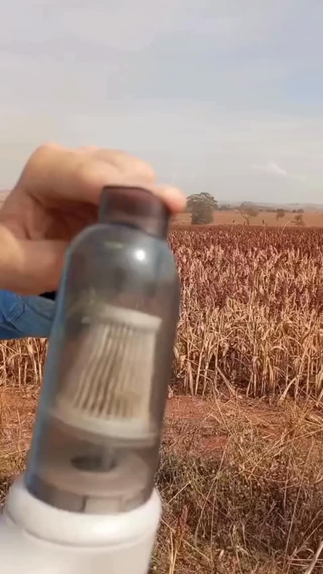 No controle biológico de pragas, a diversidade genética e a qualidade das linhagens dos agentes macrobiológicos pode fazer toda a diferença!
A coleta de crisopídeos em campo é indicada para que as futuras gerações de sua criação sejam saudáveis e sempre adaptadas à região de cultivo.
Quer conhecer mais? Visite o nosso site no link da bio.
#macrobiologicos #controlebiologico #pragasagricolas #biocontrole #predativa #crisopídeos