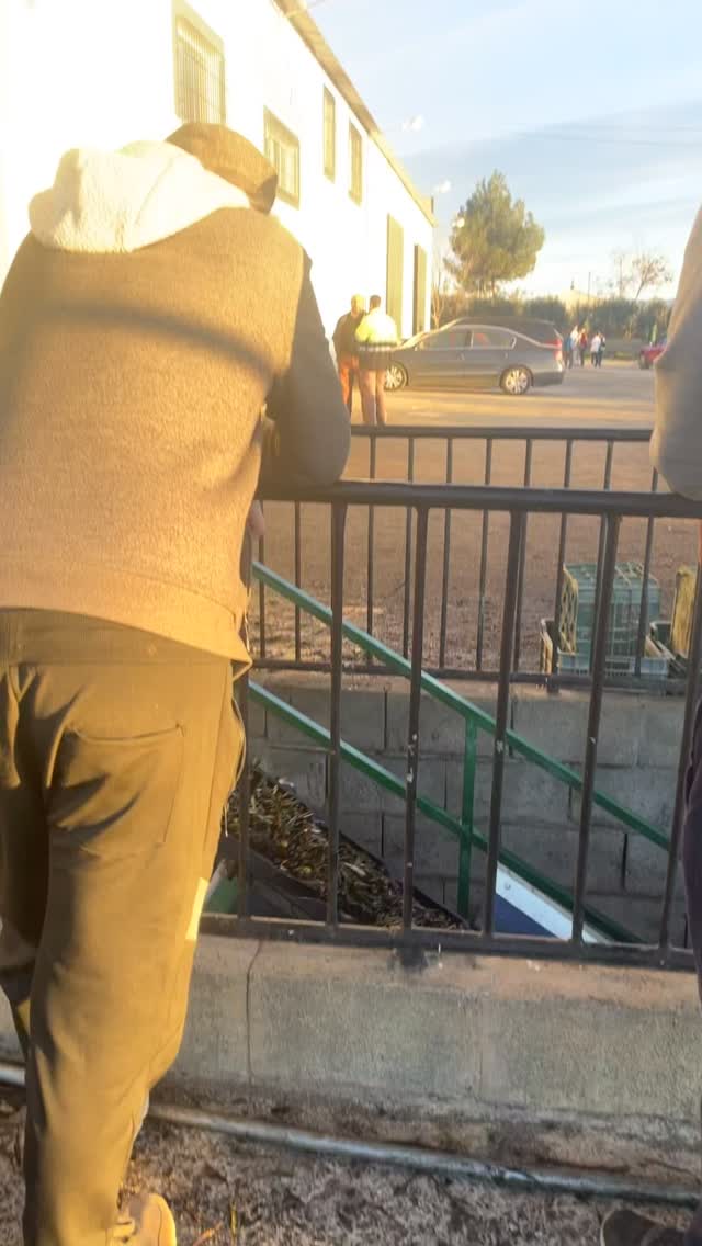 We kunnen niet wachten tot we in december weer mogen beginnen met de oogst, zodat we jullie weer van de beste olijfolie kunnen voorzien. Gemaakt met liefde en zorg, elke stap van de weg!
Te verkrijgen bij: www.campesinoandaluz.nl
#extraviergeolijfolie #olijfolie