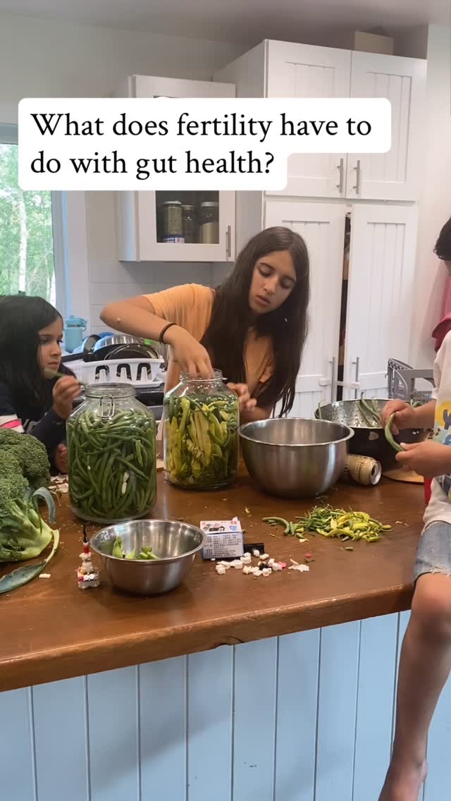 Gut health is so connected to fertility and reproductive health. I’ve seen it over and over again in the research I read and the patients I work with.
There are so many opinions out there now on how to best support your gut.
Our favoured approach?
Test, don’t guess.
All our patients have an in depth stool analysis which allows us to understand something of what’s happening in there so we can tailor our approach to pur patients’ particular needs.
Then hormones can be properly detoxed, inflammation goes down, bowel movements normalize, and fertility can recover.
#infertility #preconceptioncare #functionalmedicine #guthealthmatters