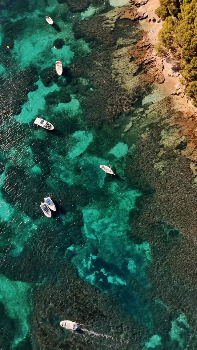 🌊 The beauty of Mallorca — where time slows down.
From hidden coves to crystal waters, discover the island’s most exquisite side.
✨ Luxury is not just where you stay. It’s how you experience.
We simplify your life – with our finest touch.
📩 Begin your bespoke Mallorca escape: hello@finest-touch.com or via DM